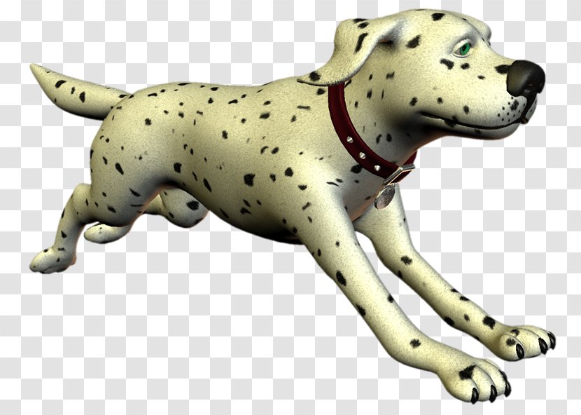 Dalmatian Dog Breed Companion Non-sporting Group Snout - Nonsporting - MASCOTAS Transparent PNG