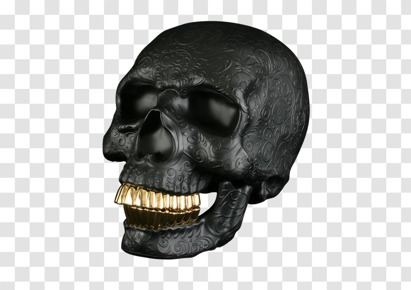 Skull Skeleton Bone Calavera Anterior Fontanelle - Tooth Transparent PNG
