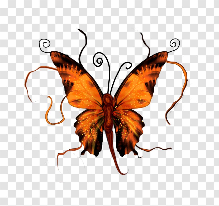 Butterfly Clip Art - Transparency And Translucency - A Transparent PNG