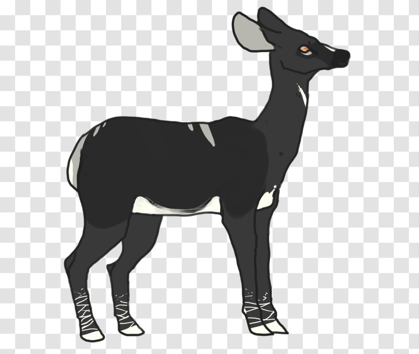 Reindeer Elk Mammal Goat - Neck Transparent PNG