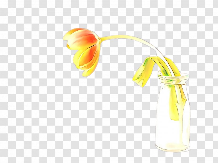 Orange Flower - Yellow - Plant Transparent PNG