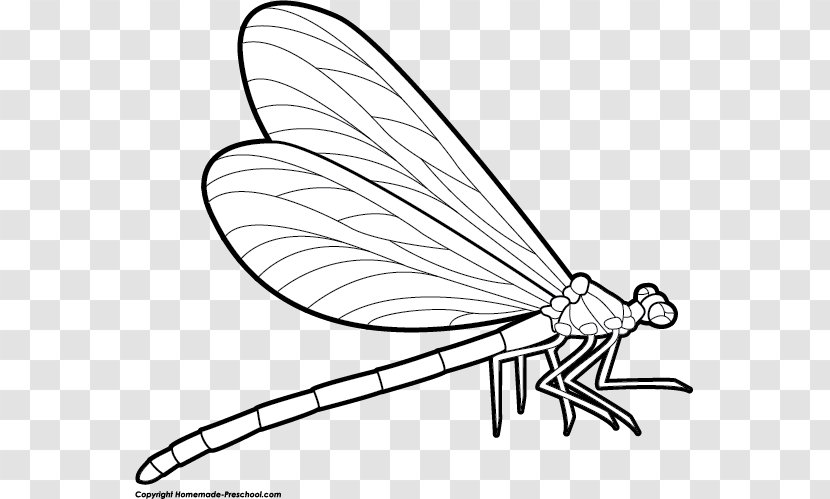 Drawing Free Content Stock.xchng Clip Art - Black Dragonfly Cliparts Transparent PNG