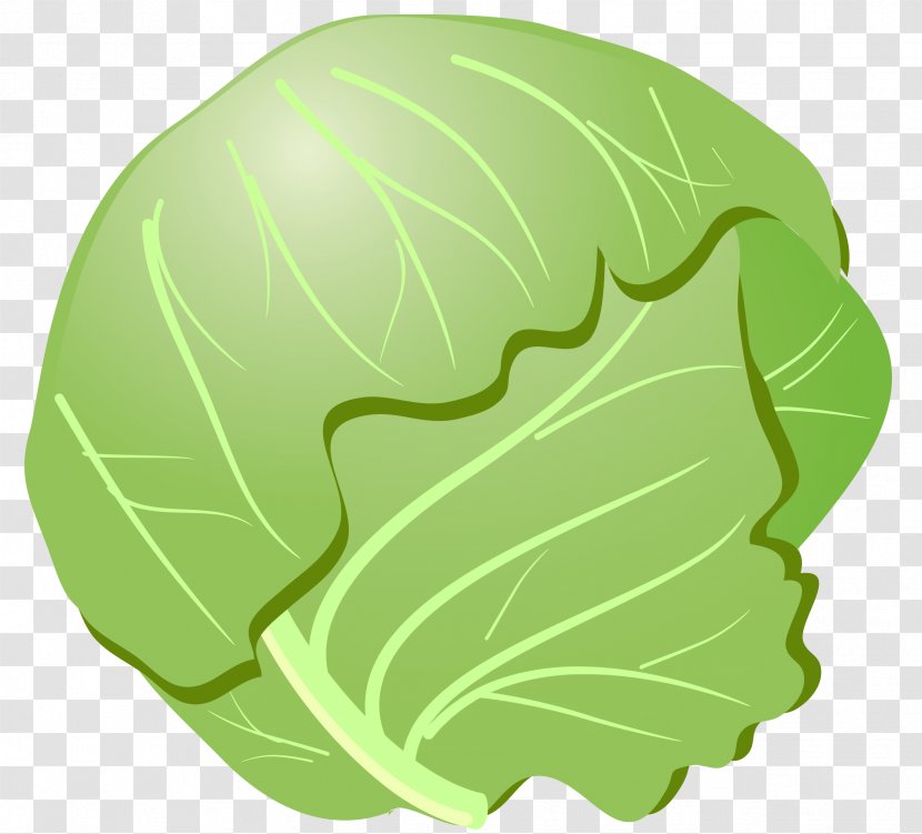 Savoy Cabbage Bento Vegetable - Green Transparent PNG