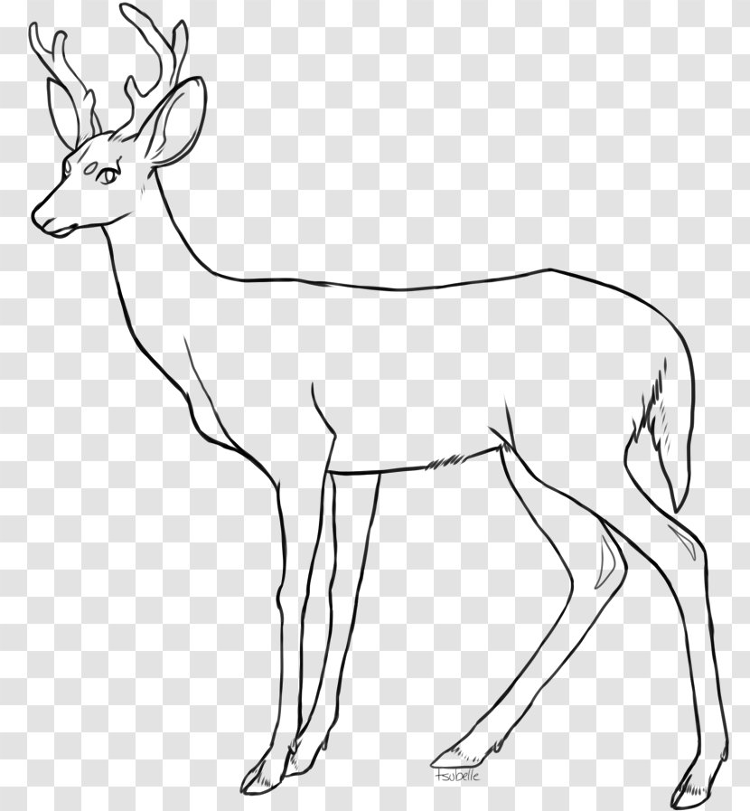Red Deer Drawing Coloring Book Clip Art - Terrestrial Animal - Free Pictures Transparent PNG