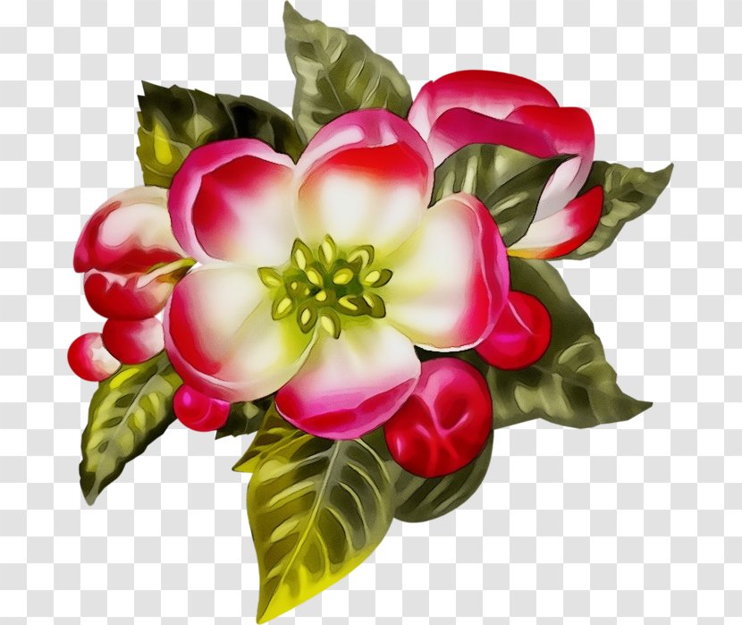 Bouquet Of Flowers Drawing - Rose - Perennial Plant Impatiens Transparent PNG