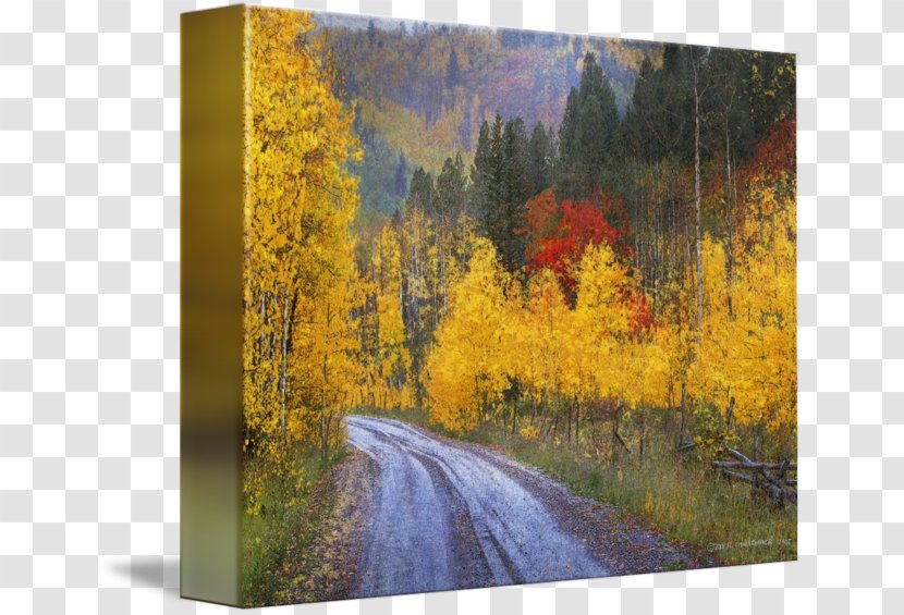 Painting Canvas Print Gallery Wrap Art Transparent PNG