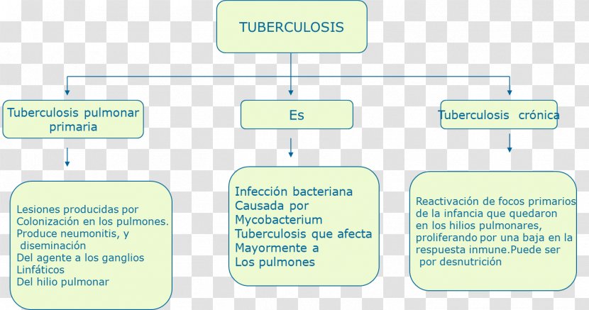 Mycobacterium Tuberculosis Cuadro Sinóptico Malnutrition Antibiotics - Sin%c3%b3ptico - Communication Transparent PNG