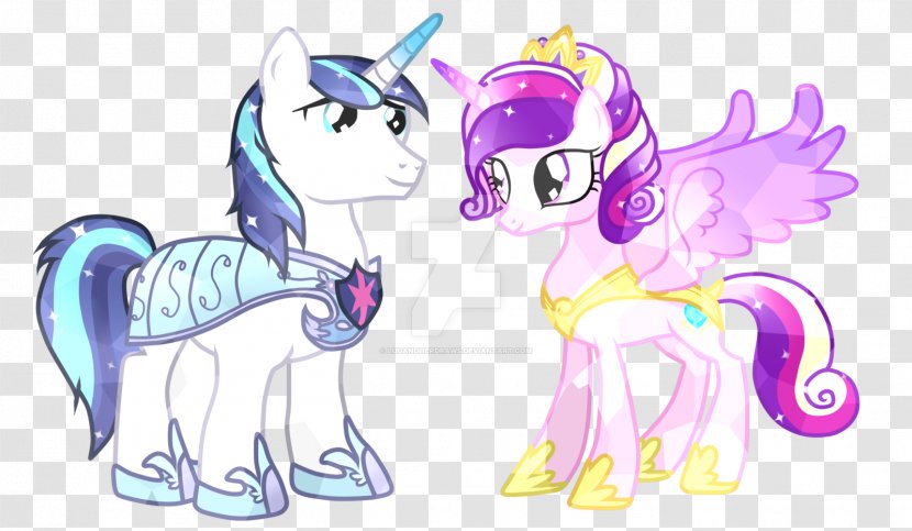 Princess Cadance Twilight Sparkle Celestia Luna Pony - Flower - Yak Transparent PNG