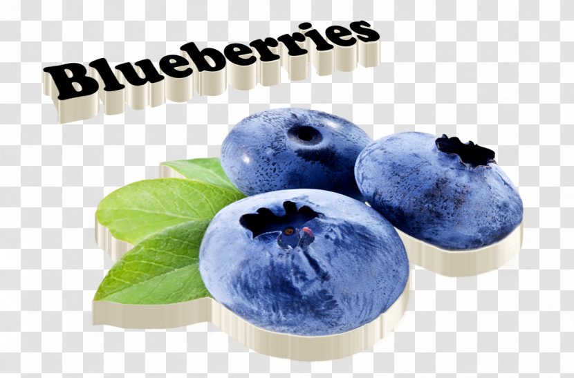 Blueberry Image Photograph Bilberry - Display Resolution Transparent PNG
