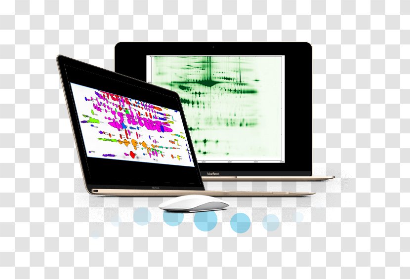 Computer Monitors Multimedia Brand - Electronics - Bloodstain Pattern Analysis Transparent PNG