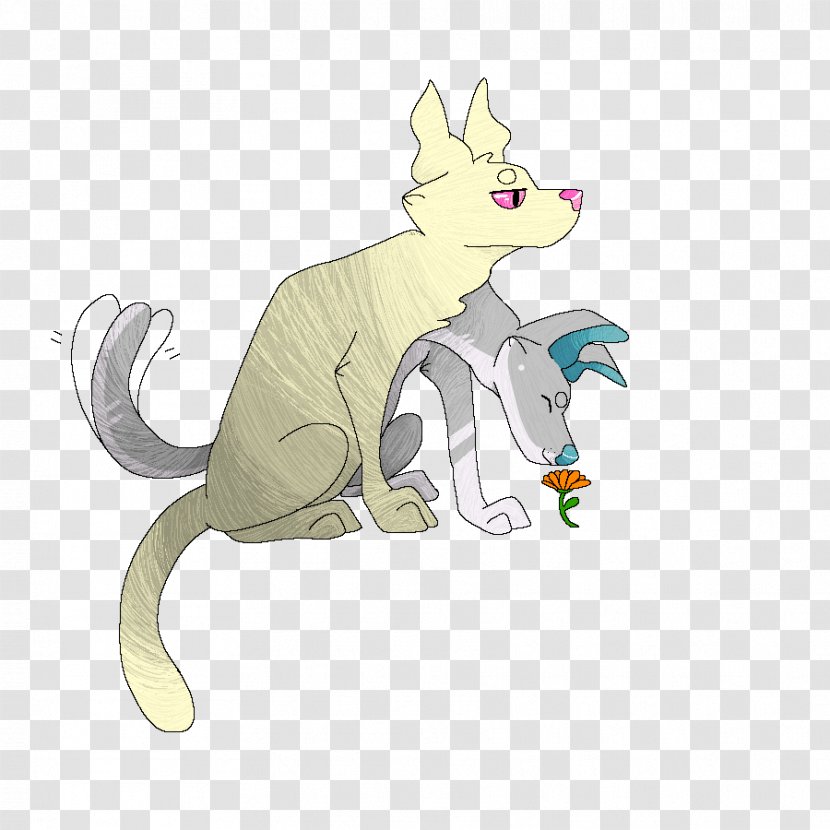 Cat Rat Canidae Dog - Organism Transparent PNG