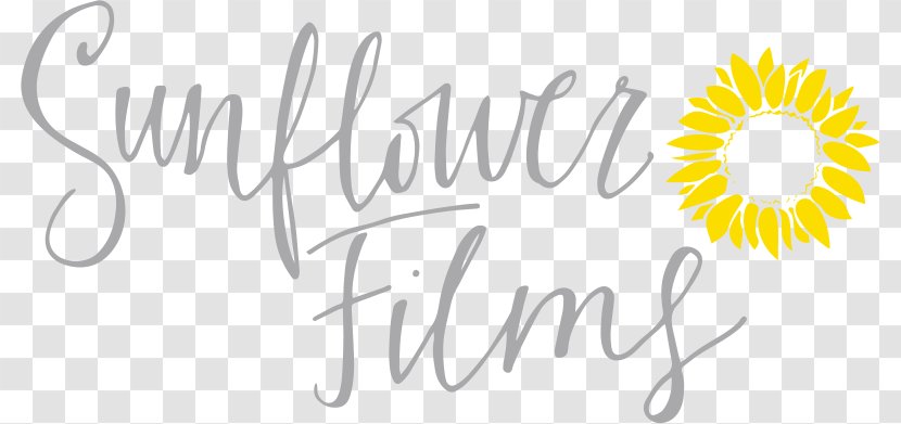 Wedding Videography Videographer Film - Cut Flowers - Sunflower Transparent PNG