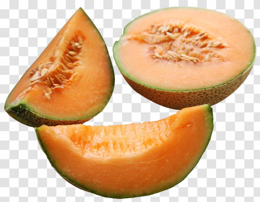 Cantaloupe Persian Melon Honeydew Transparent PNG