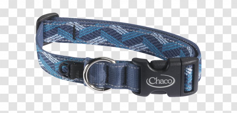 Dog Collar Rockford Leash - Camping - With Transparent PNG