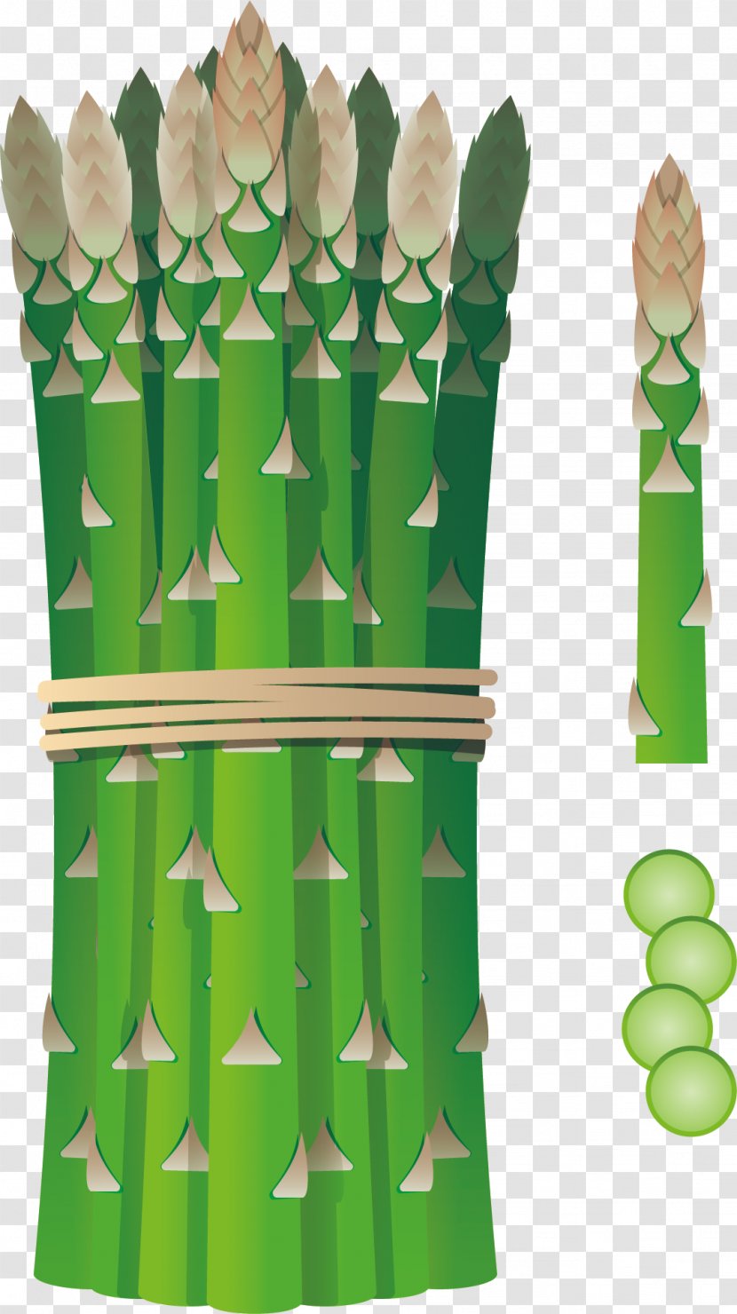 Vegetable Dish Bamboo Shoot - Tree - Special Shoots Transparent PNG