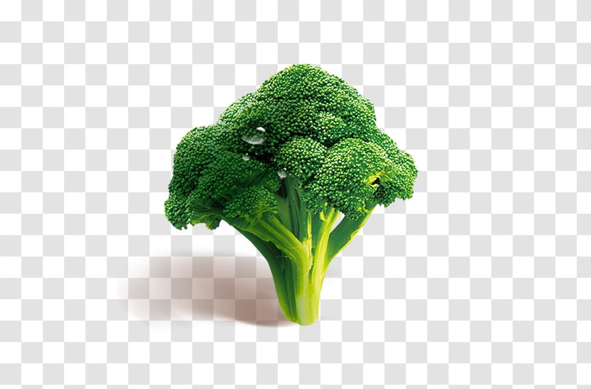 Broccoli Vegetable Download - Fundal - HD Transparent PNG