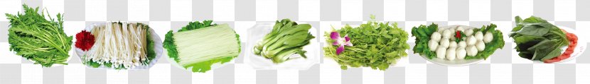 Allium Fistulosum Welsh Cuisine Grasses Cut Flowers Plant Stem - A Variety Of Vegetables Transparent PNG