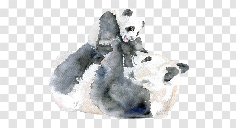 Giant Panda Watercolor Painting Infant Mother - Carnivoran Transparent PNG