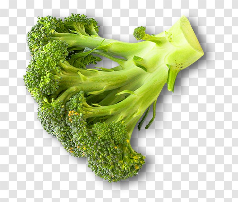 Broccoli Cauliflower Vegetarian Cuisine Transparent PNG