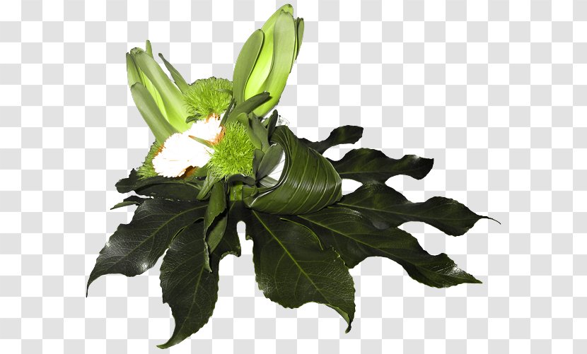 Cut Flowers Floral Design Leaf Clip Art - Liveinternet - Spring Transparent PNG