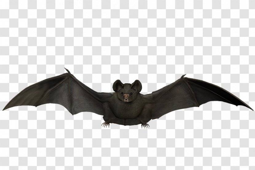 Batman Visual Arts Flight - Art - Flying Bat Transparent PNG