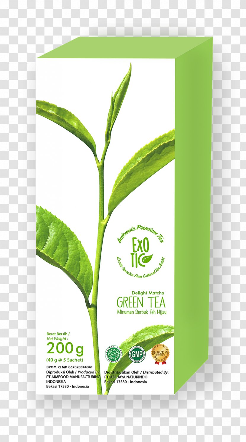 Matcha Green Tea Latte White - Processing Transparent PNG