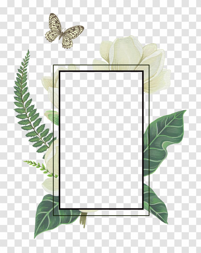Illustration Flower Floral Design Art - Picture Frame - Botanical Transparent PNG