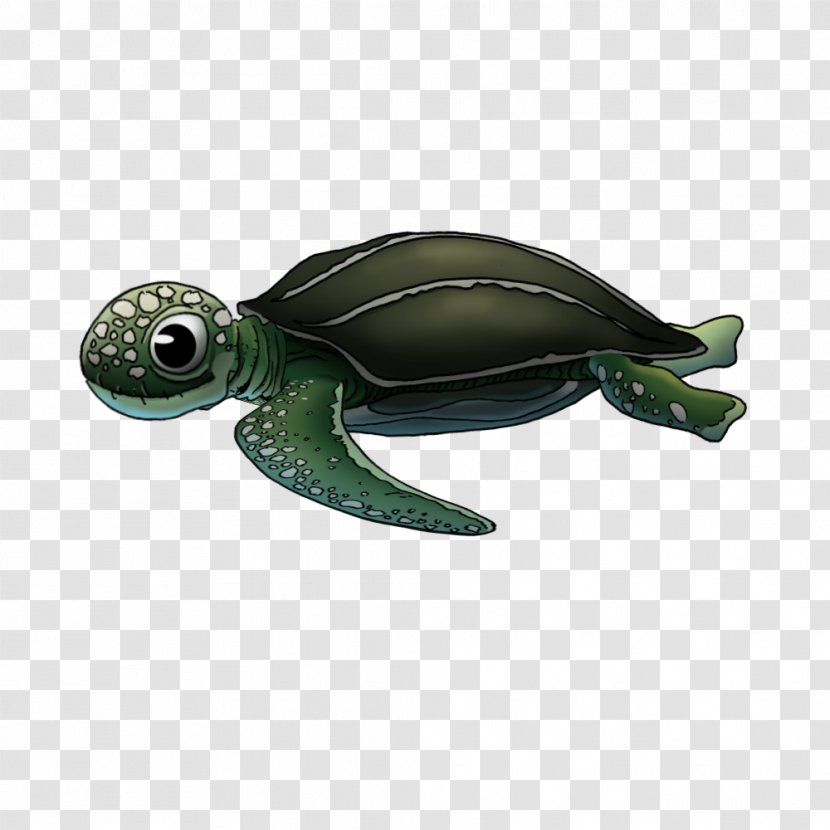 Sea Turtle Pond Turtles - Emydidae - Animated Transparent PNG