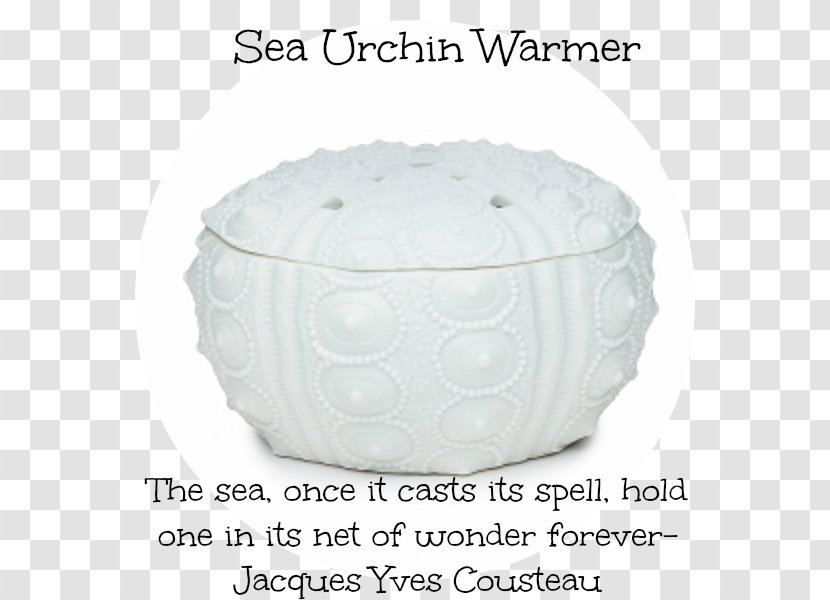 Sea Urchin Scentsy Ceramic Transparent PNG
