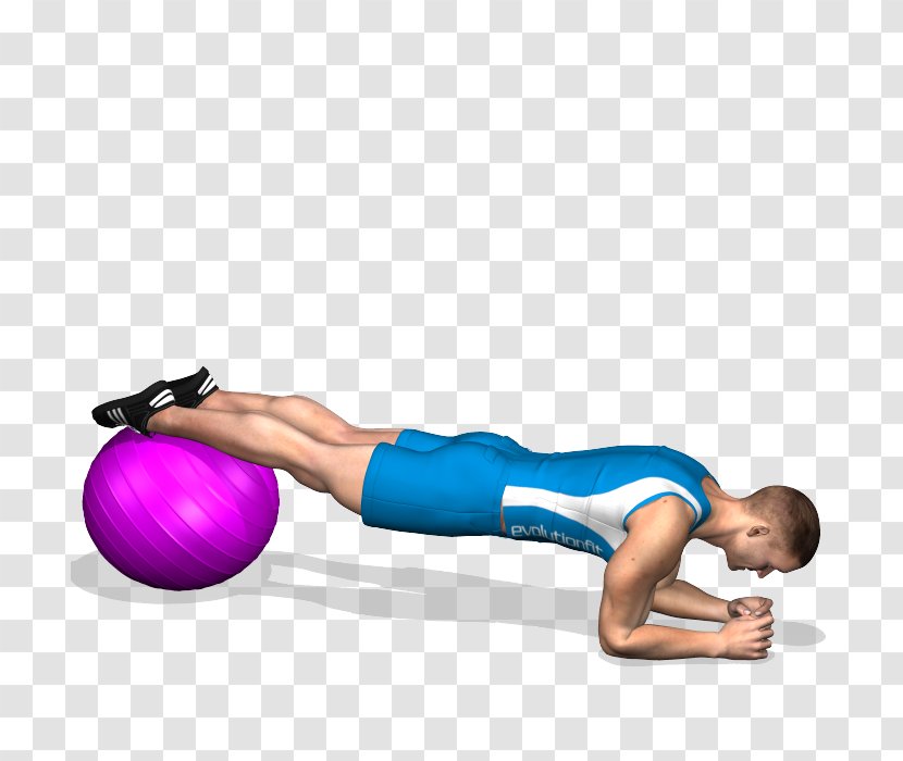 Exercise Balls Pilates Crunch Plank - Frame - Ball Transparent PNG