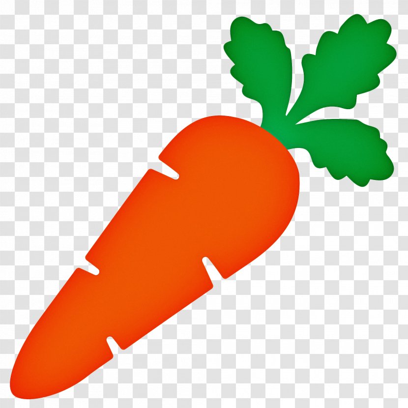 Background Baby - Root Vegetable - Vegetarian Food Leaf Transparent PNG