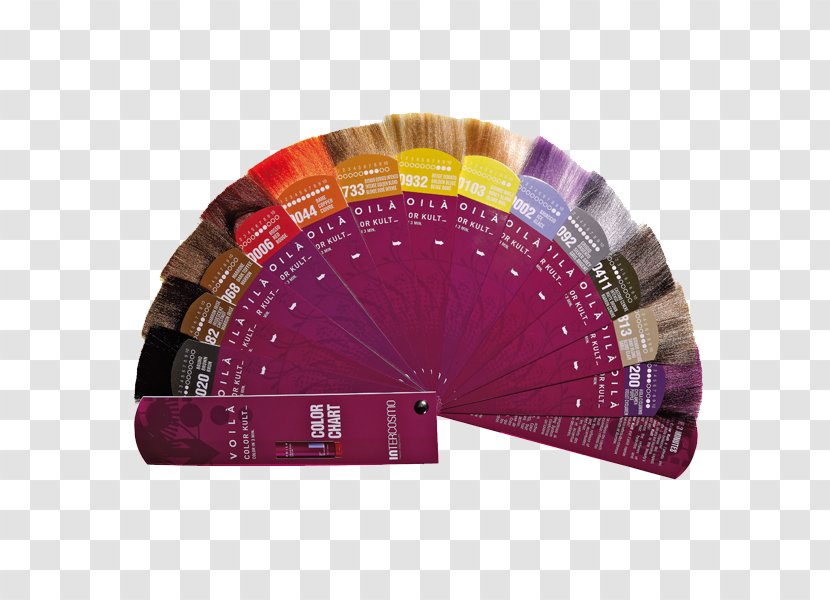 Color Chart Human Hair Parrucchiere Facciamoci Belli - Conditioner - Cosmetics Transparent PNG