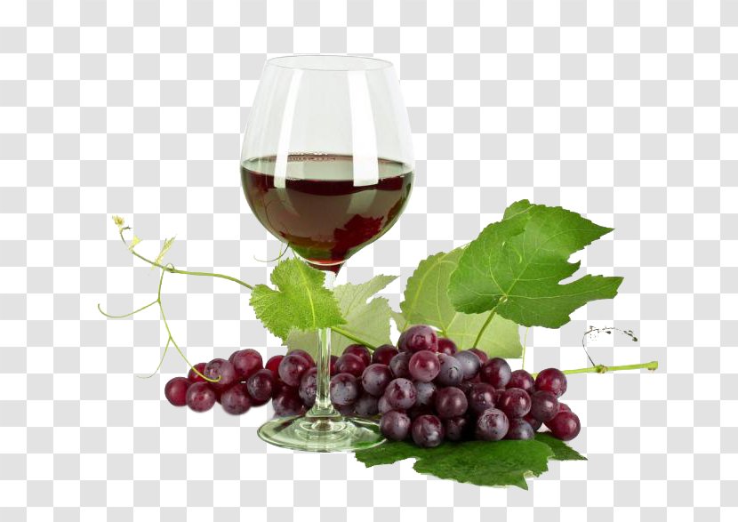 Red Wine Pinot Meunier Champagne Shiraz - Grape - Grapes Transparent PNG
