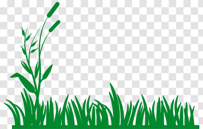 Free Content Stock Photography Clip Art - Grass Field Cliparts Transparent PNG