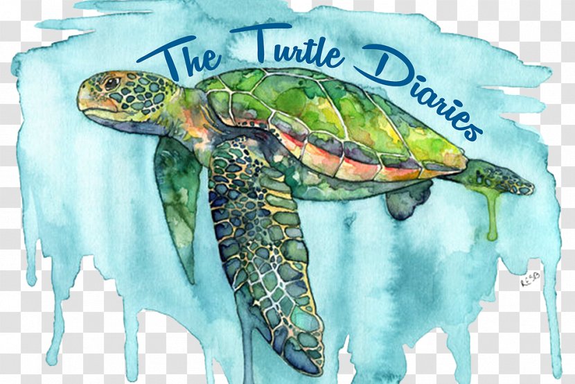 Sea Turtle Background - Fine Arts - Tortoise Pond Transparent PNG