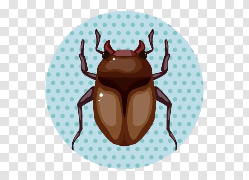 Insect Cartoon Illustration - Coffee Cup - Loopholes Out Of Insects Transparent PNG