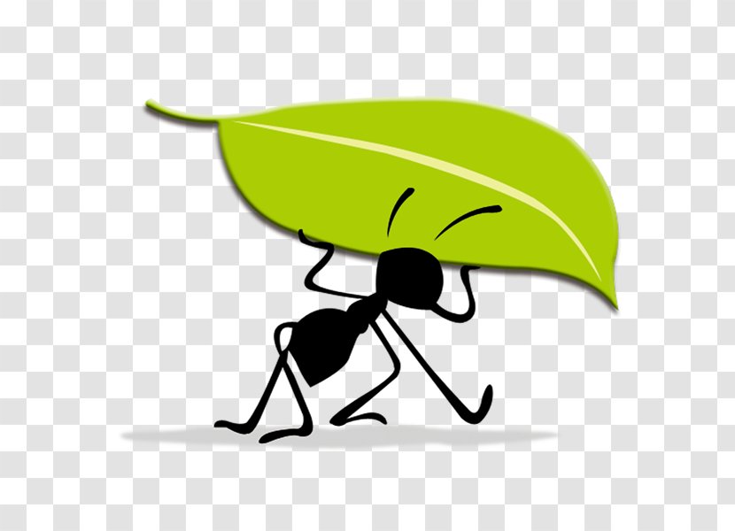 Logo Idea Ant - Brand - Ants Move Leaves Transparent PNG