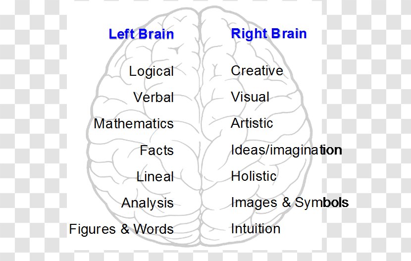 Brain Human Behavior Organism Cerebral Hemisphere - Heart - Left And Right Transparent PNG