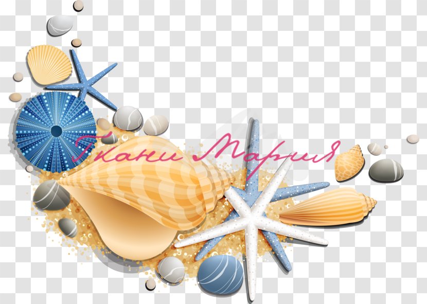 Restaurant Le Coquillage Clip Art Oyster Image Seashell Transparent PNG
