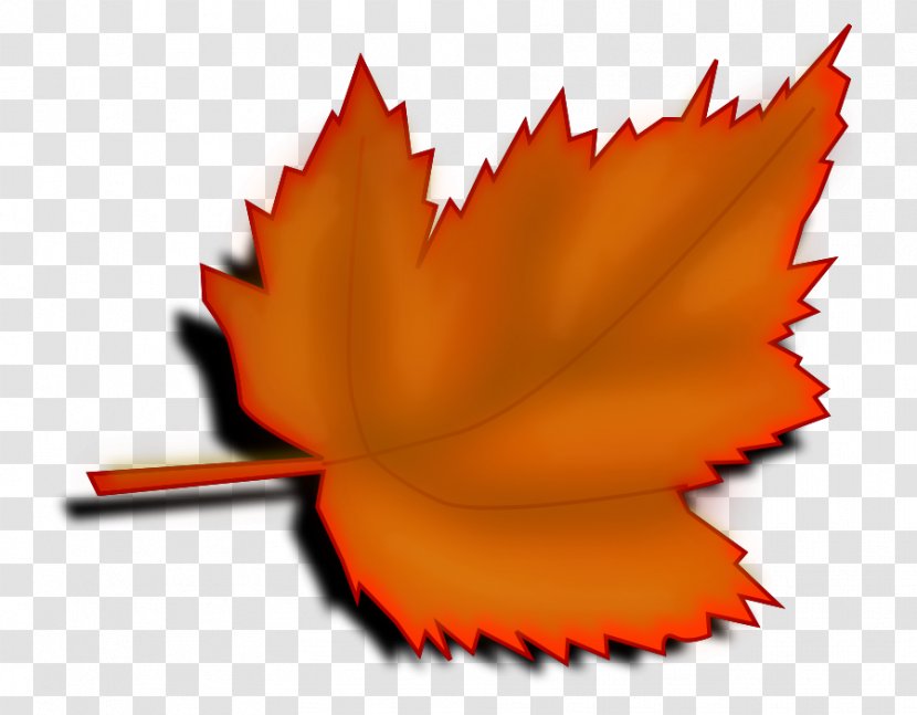 Red Maple Leaf Autumn Color Clip Art - Oak - Big Leaves Cliparts Transparent PNG