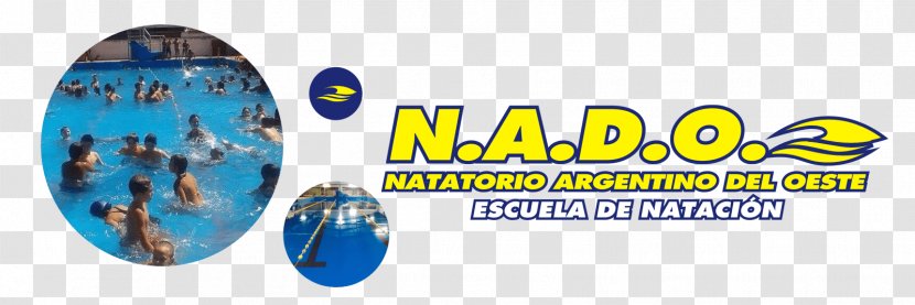 NADO Logo Swimming Site Map Privacy Policy - Gymnastics Transparent PNG