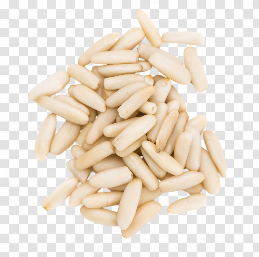 Commodity Ingredient - Pine Nuts Transparent PNG