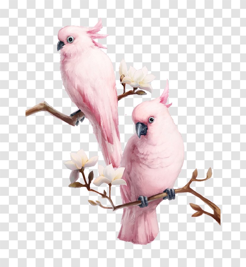 Bird Major Mitchell's Cockatoo Flamingos Pink - Feather - The Birds On Branches Transparent PNG