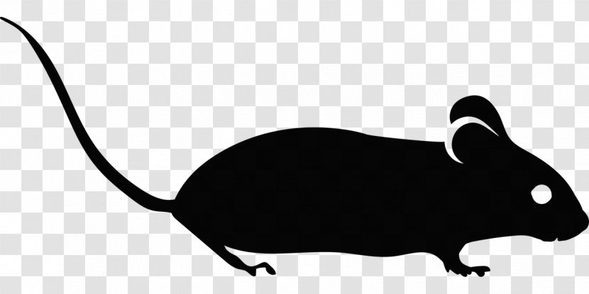 Rat Cartoon - Computer - Whiskers Blackandwhite Transparent PNG