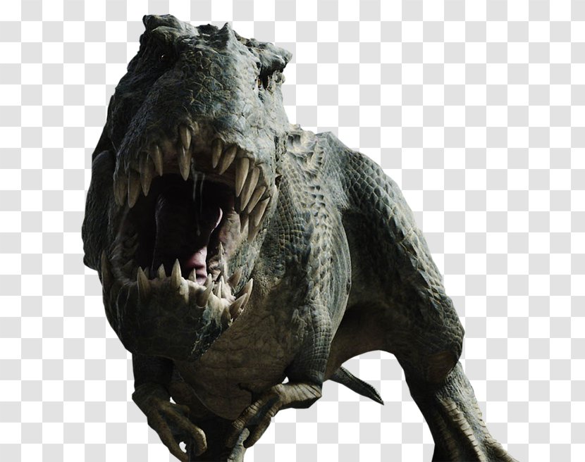 V. Rex Spinosaurus King Kong Giganotosaurus Tyrannotitan - Dinosaur Transparent PNG