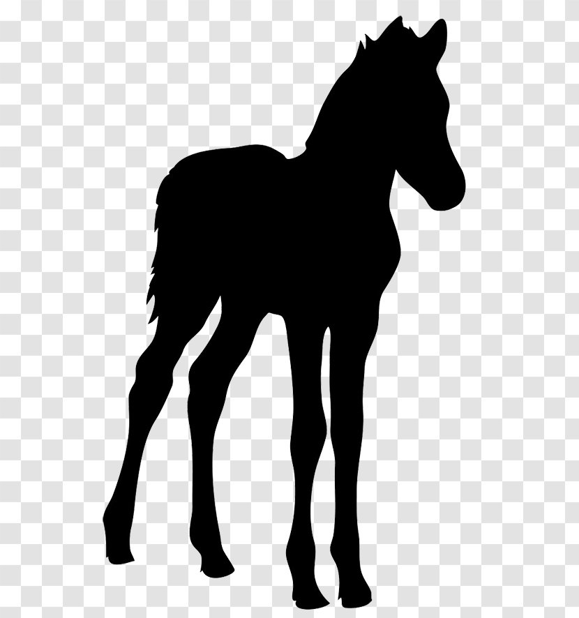 Horse Foal Silhouette Clip Art - Photography - Free Graphics Transparent PNG
