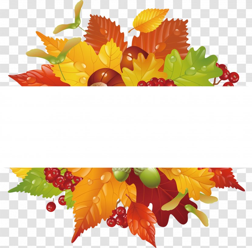 Autumn Leaf Color Euclidean Vector Clip Art - Orange - Beautiful Leaves Label Transparent PNG