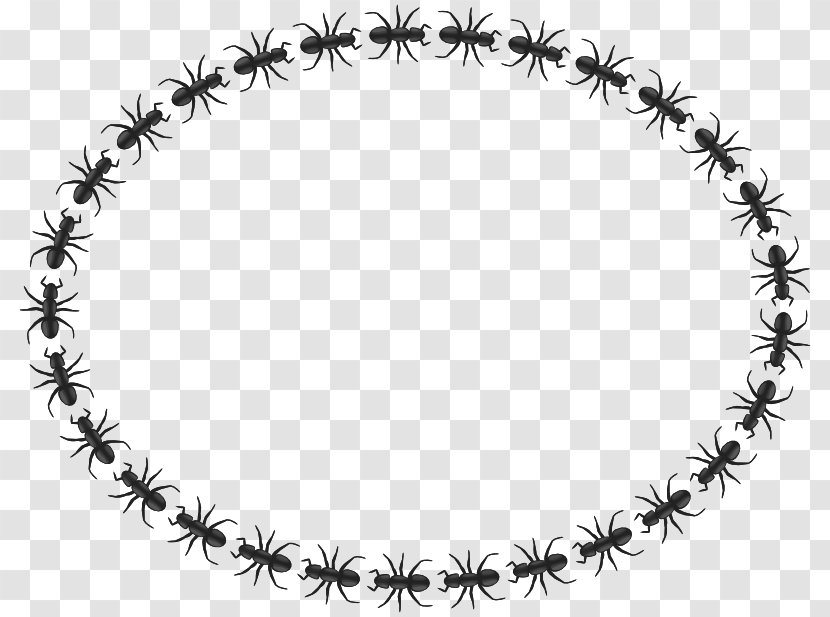 Ant Insect Circle Clip Art - Queen - Frog Border Transparent PNG