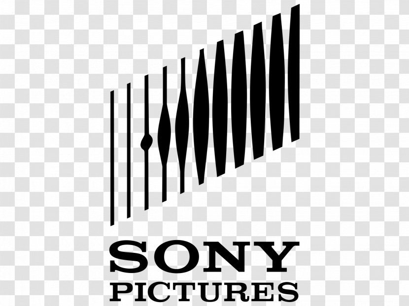 Sony Pictures Television - Business Transparent PNG