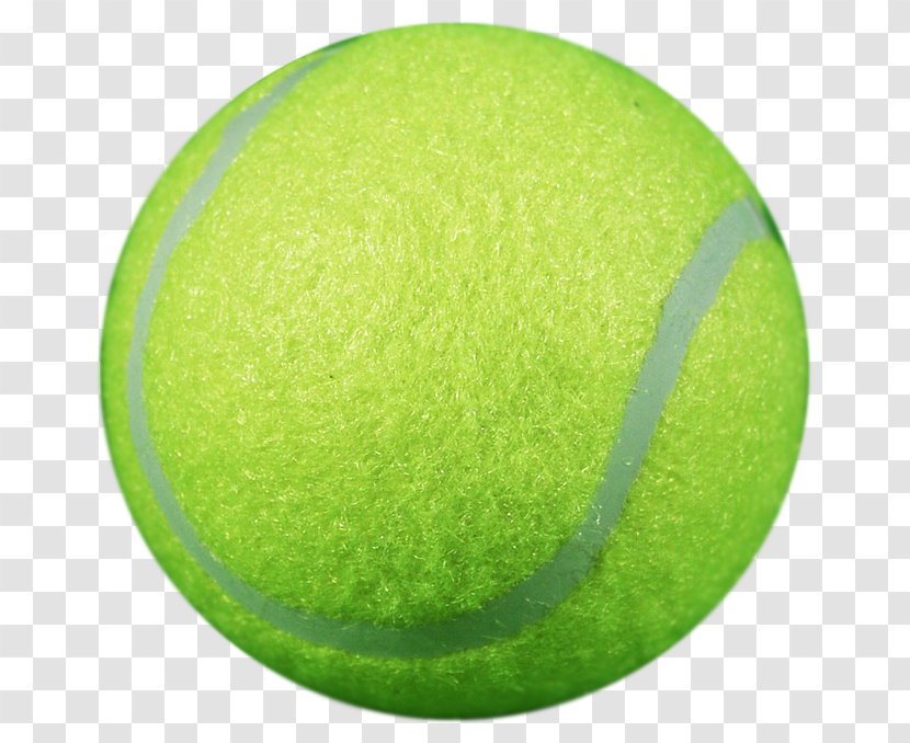 Tennis Balls Northbrook Racquet Club Inc Centre - Physical Fitness Transparent PNG